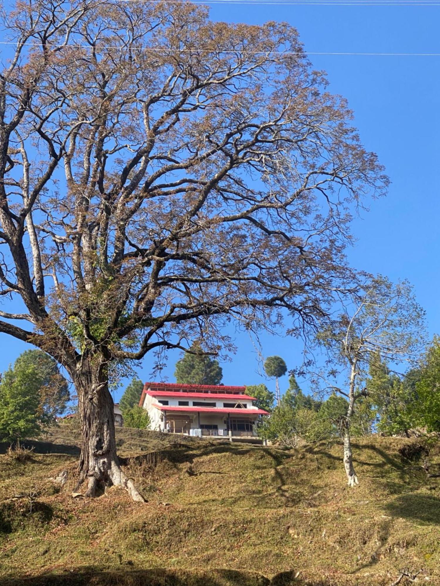 Little Frida- The Dak Bungalows Mukteshwar Exterior photo